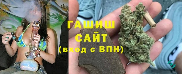 стаф Балахна